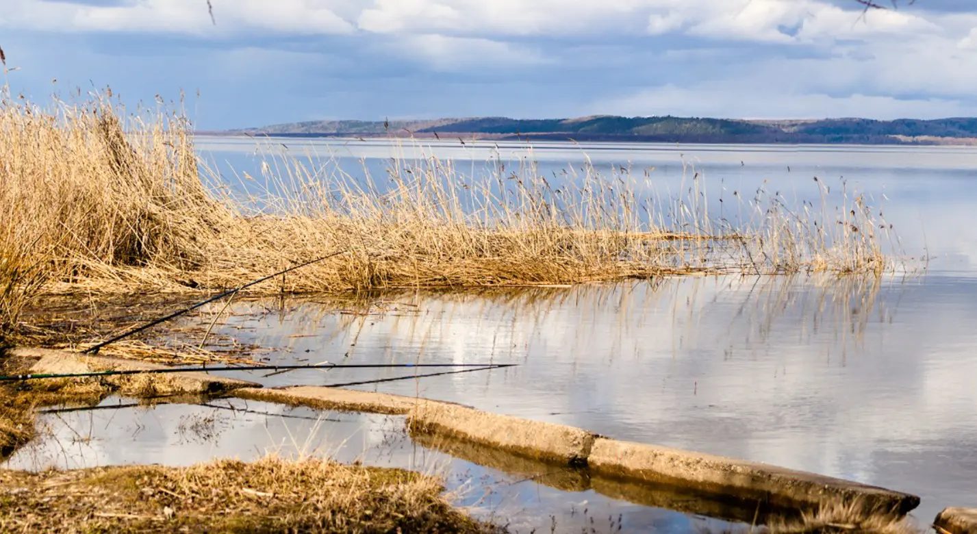 Очистка популярного костромского озера начнется в середине июня