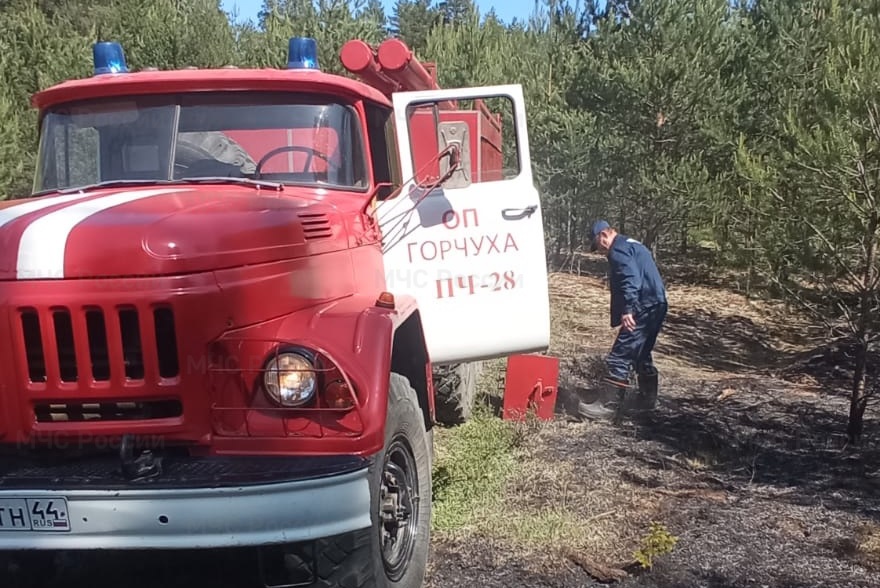 В Костромской области произошёл лесной пожар высокой интенсивности