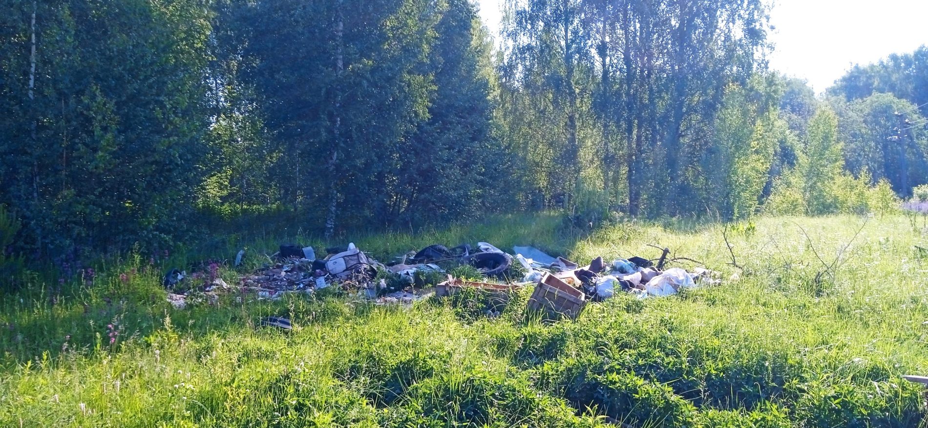 Костромичи жалуются на огромную свалку у очистных сооружений