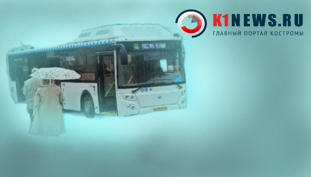 Костромских чиновников просят прокатиться на фантомных автобусах