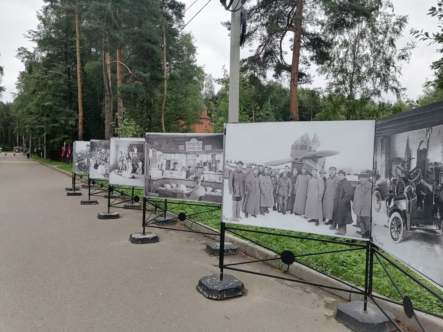 Выставки в костроме 2024. Скейт парк Кострома Берендеевка. Зоопарк Берендеевка Кострома.