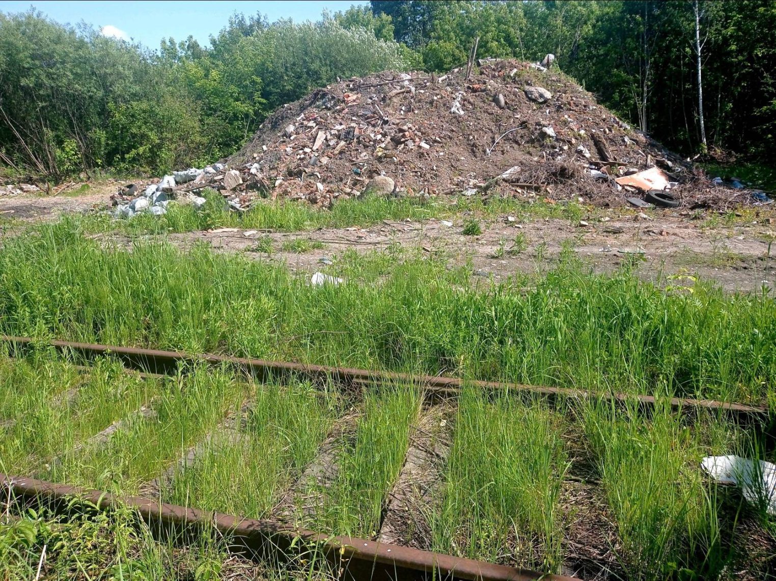 Возле железной дороги в Костроме ликвидировали свалку