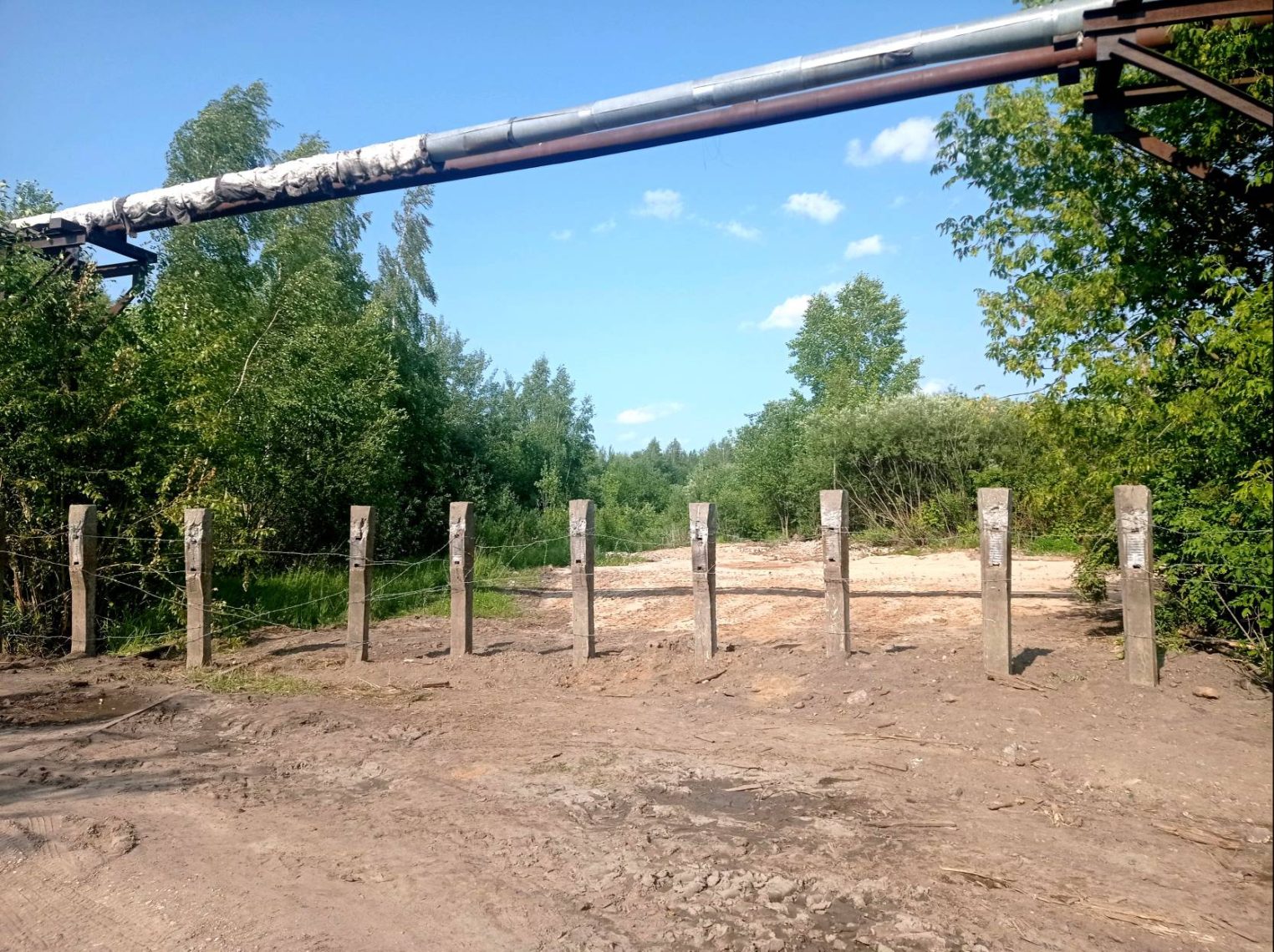 Возле железной дороги в Костроме ликвидировали свалку