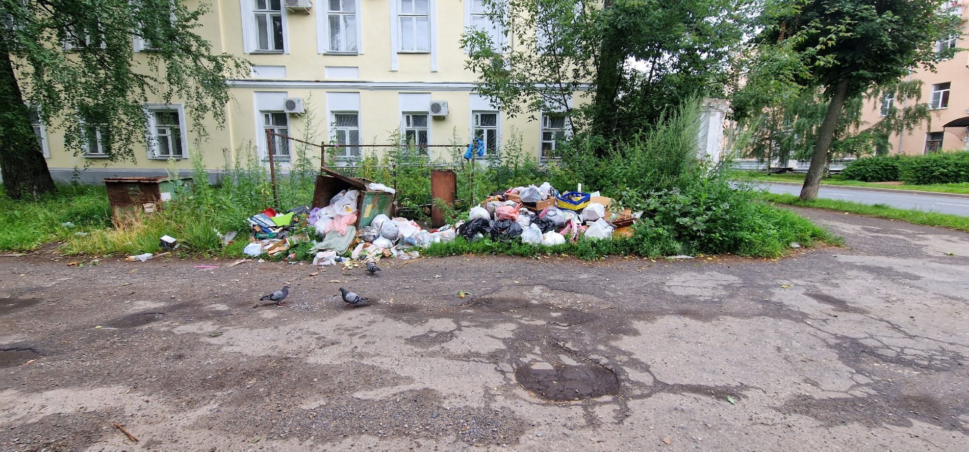 Во дворе дома в шаге от центра Костромы растет гора мусора