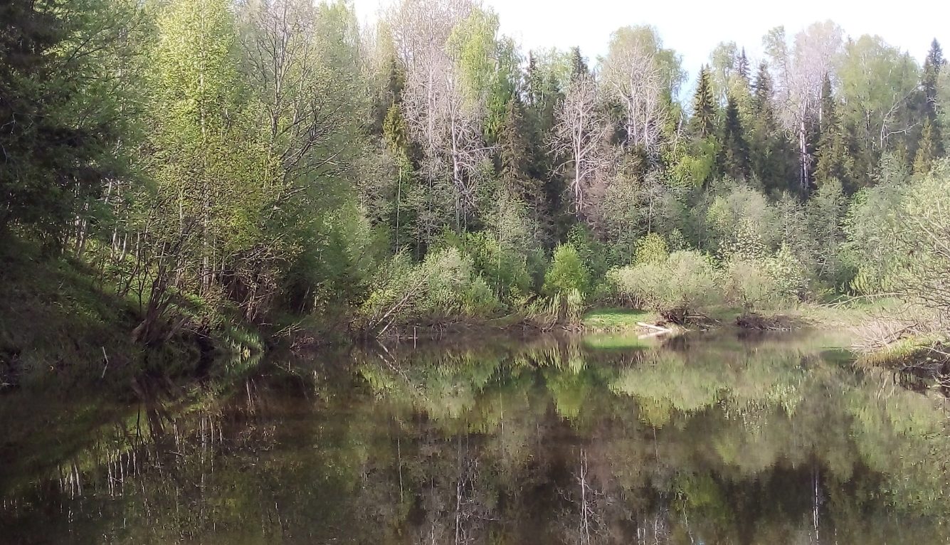 Нейросеть "озолотила" реку в Костромской области