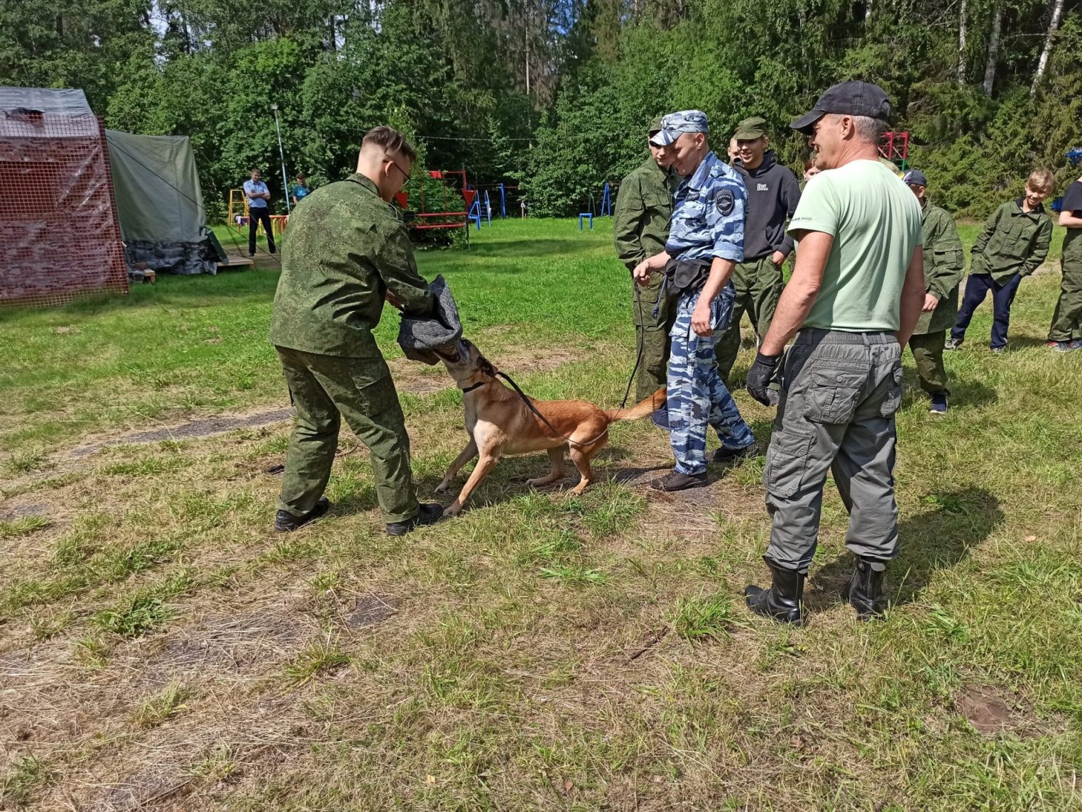 В детском лагере под Костромой блестяще отработала задачу служебная собака