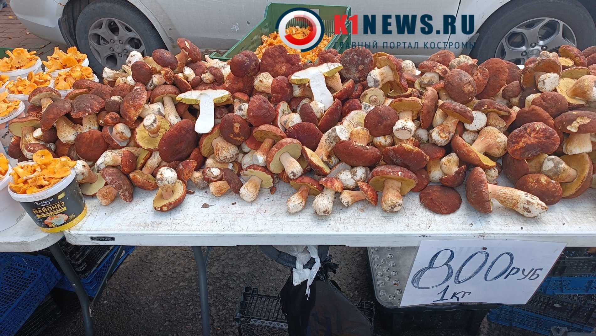 Белые грибы в Костроме продают за огромные деньги