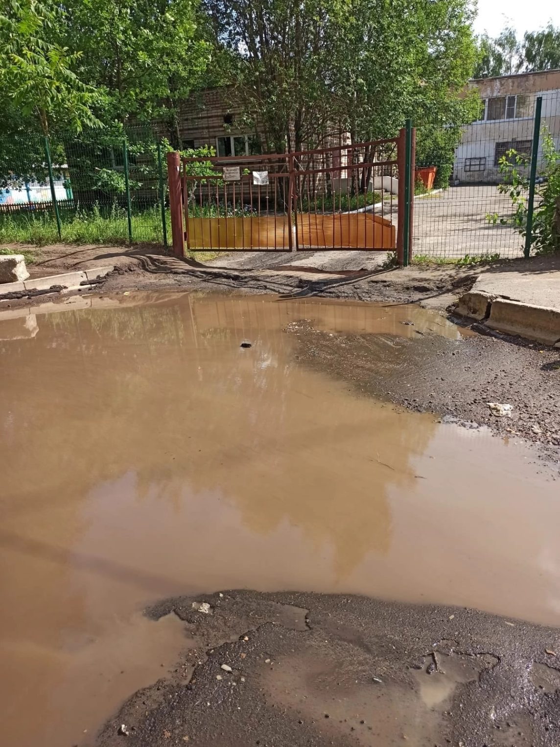 Костромичи в шоке от дороги возле детского сада
