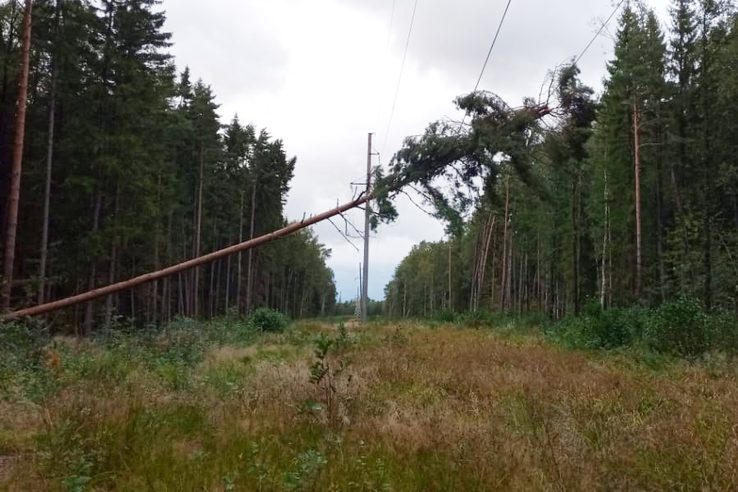 Оперативные службы Костромской области ликвидируют последствия урагана в 5 районах