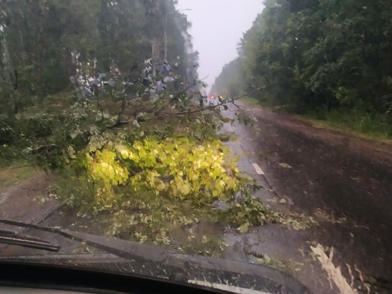 На Костромскую область обрушился штормовой апокалипсис