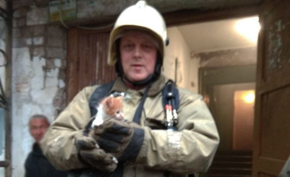Пожарный из Костромы спас из задымленного здания котенка