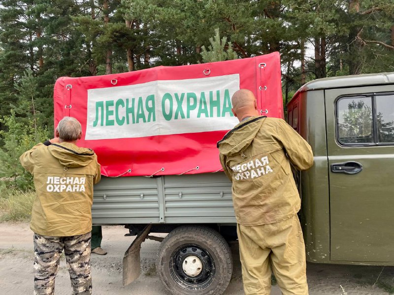 Дополнительные меры пожарной безопасности в лесах ввели в Костромской области
