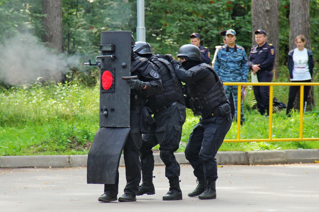 Стрельба и собаки ожидают костромичей в центре города