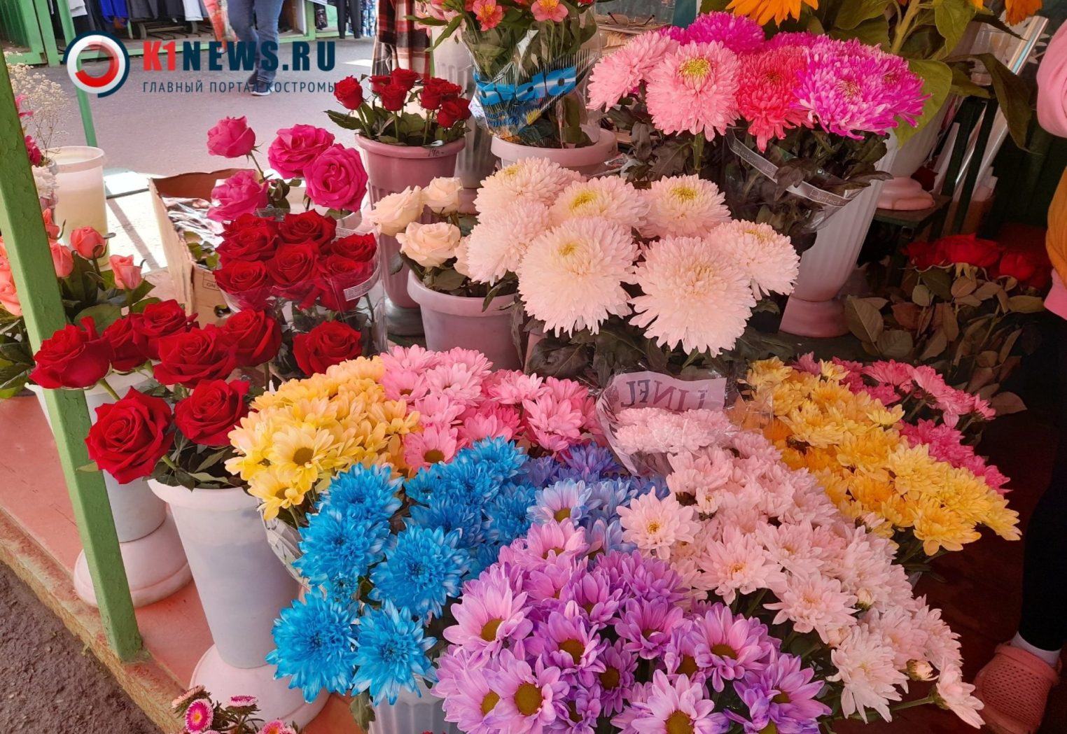 Стали известны цены на цветы к 1 сентября в Костроме