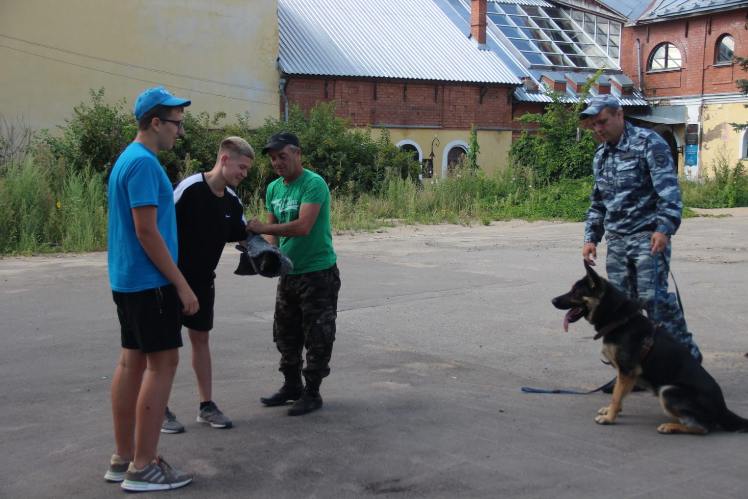 Костромские кинологи с собаками показали детям из ЛНР экшн-шоу