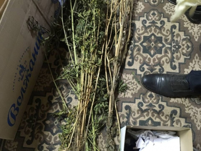 Наркоман из Костромской области попался на хранении марихуаны 