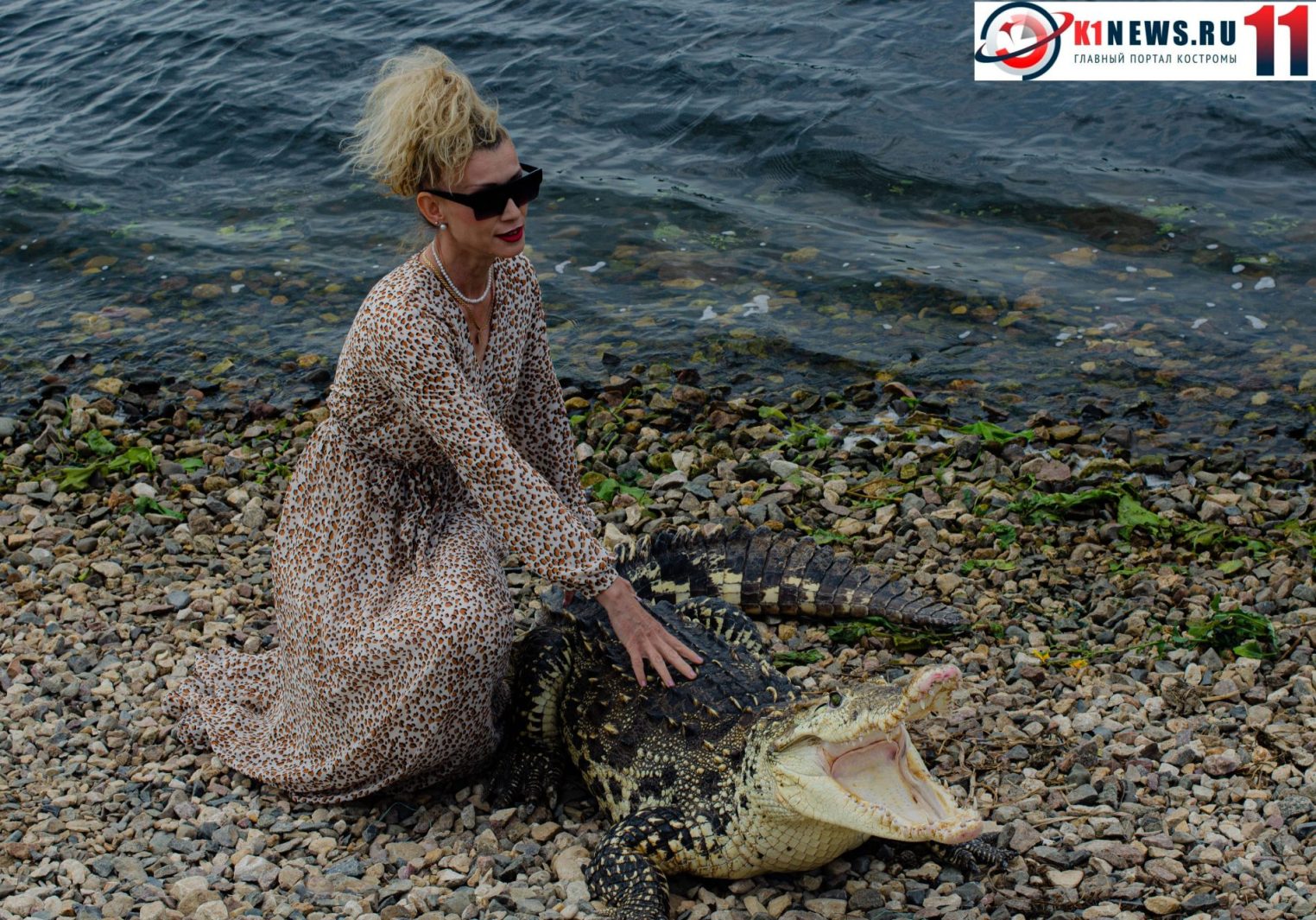 На набережной костромичи встретили живого крокодила