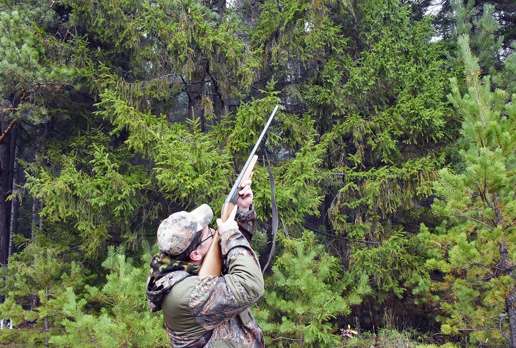 Из-за чумы до Нового года запретили охоту в костромских лесах