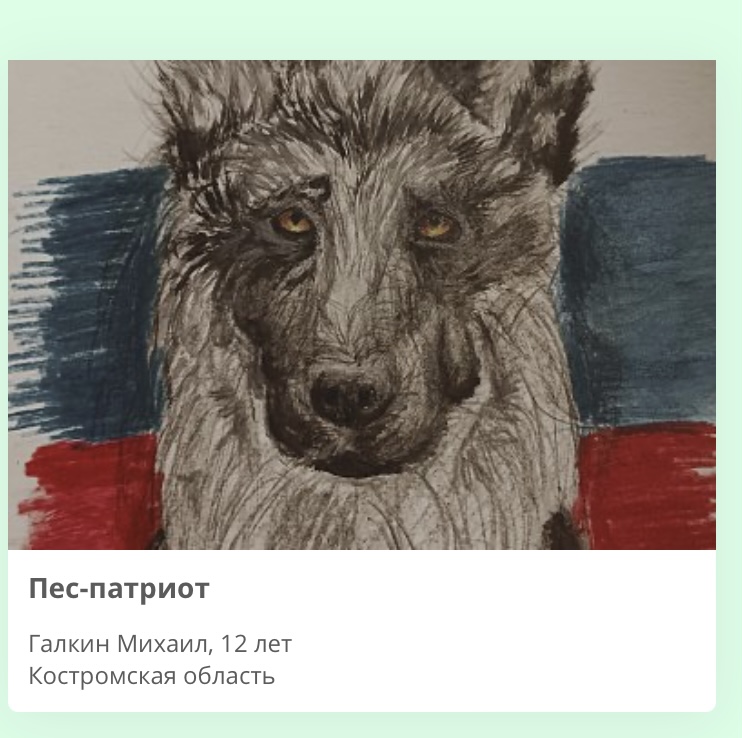 Юный костромич взял приз федерального конкурса «Портрет фронтовой собаки»