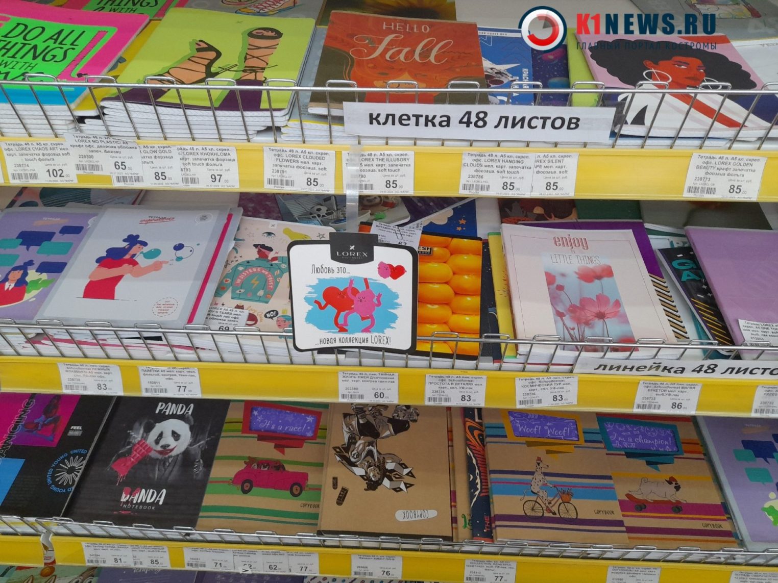 Школьники Костромы предпочитают тетрадки с аниме