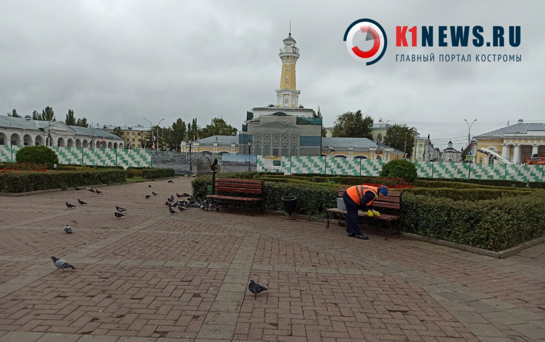 Голуби загадили все лавки в центре Костромы