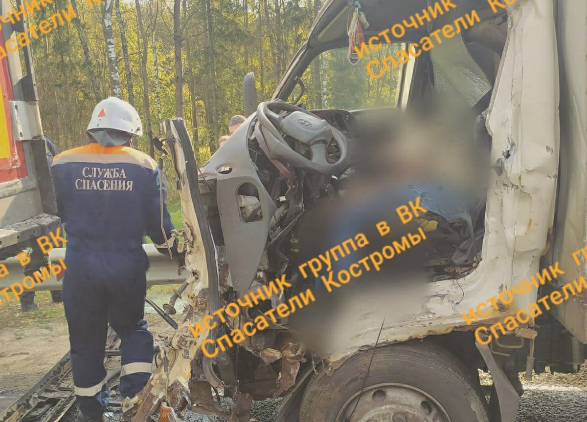 Смертельная авария с грузовиком и лосем произошла под Костромой