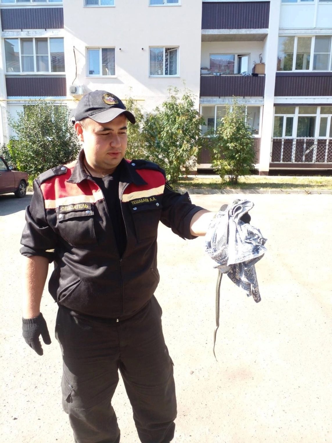 Уж забрался в квартиру костромичей