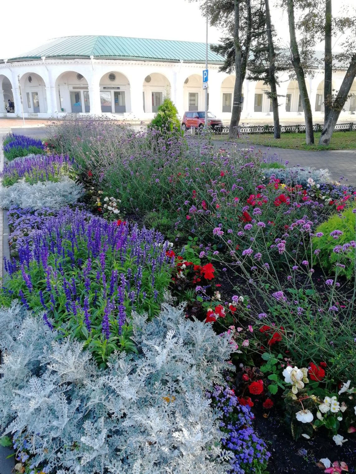 Костромичи восхищаются цветами в городе
