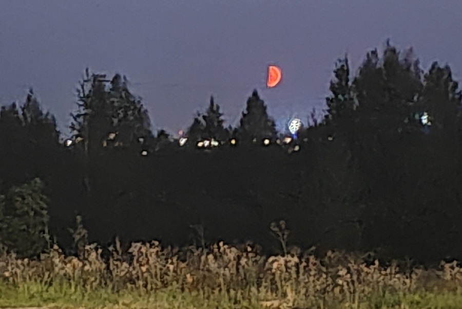 Над Костромской областью ночью взошла кровавая Луна