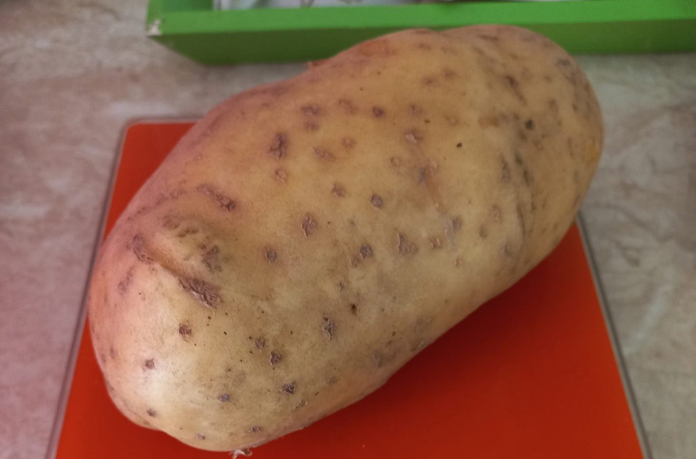 Картошка-переросток выросла у костромской пенсионерки
