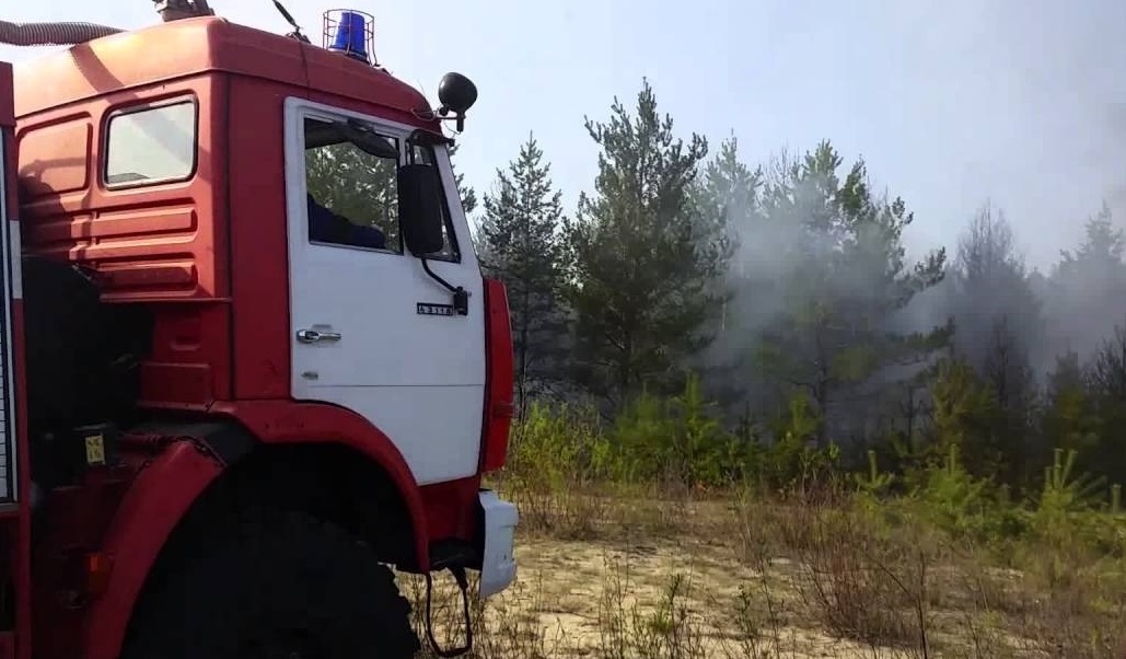 В Костромской области бушует крупный лесной пожар
