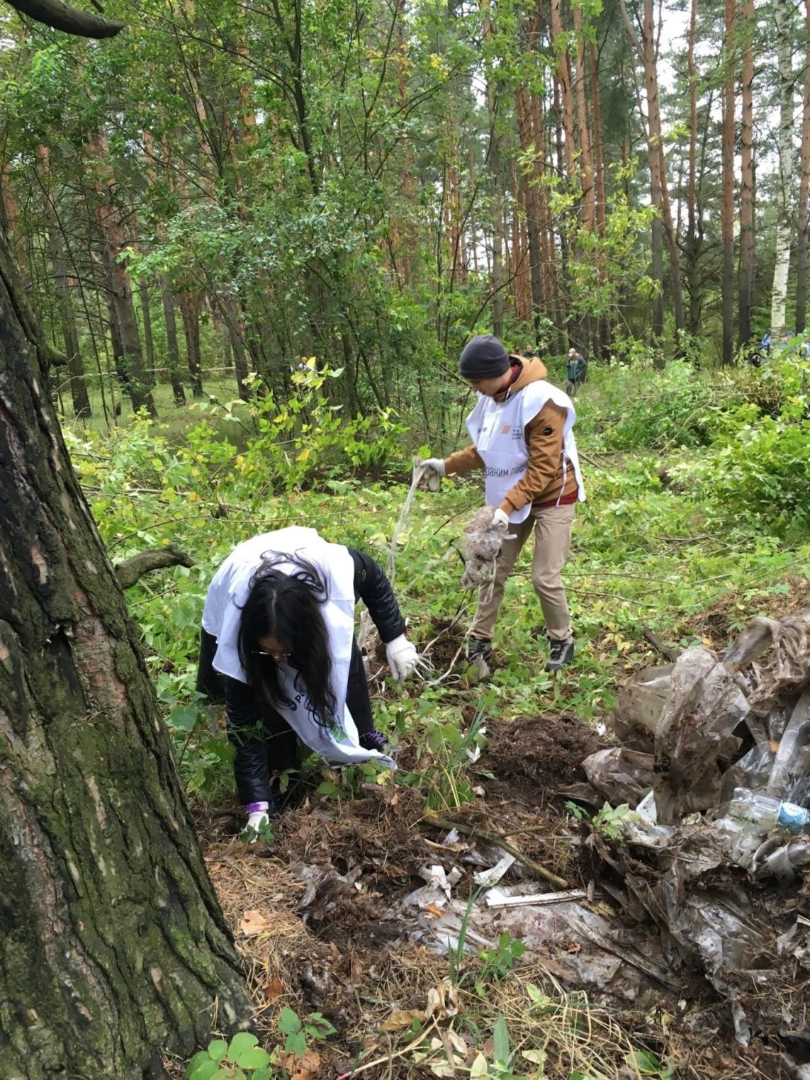 Студенты вместе с костромскими чиновниками ходили по лесу в поисках мусора
