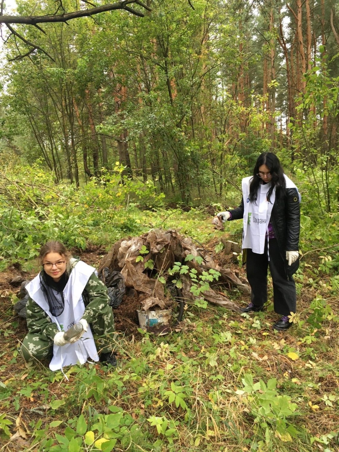 Студенты вместе с костромскими чиновниками ходили по лесу в поисках мусора