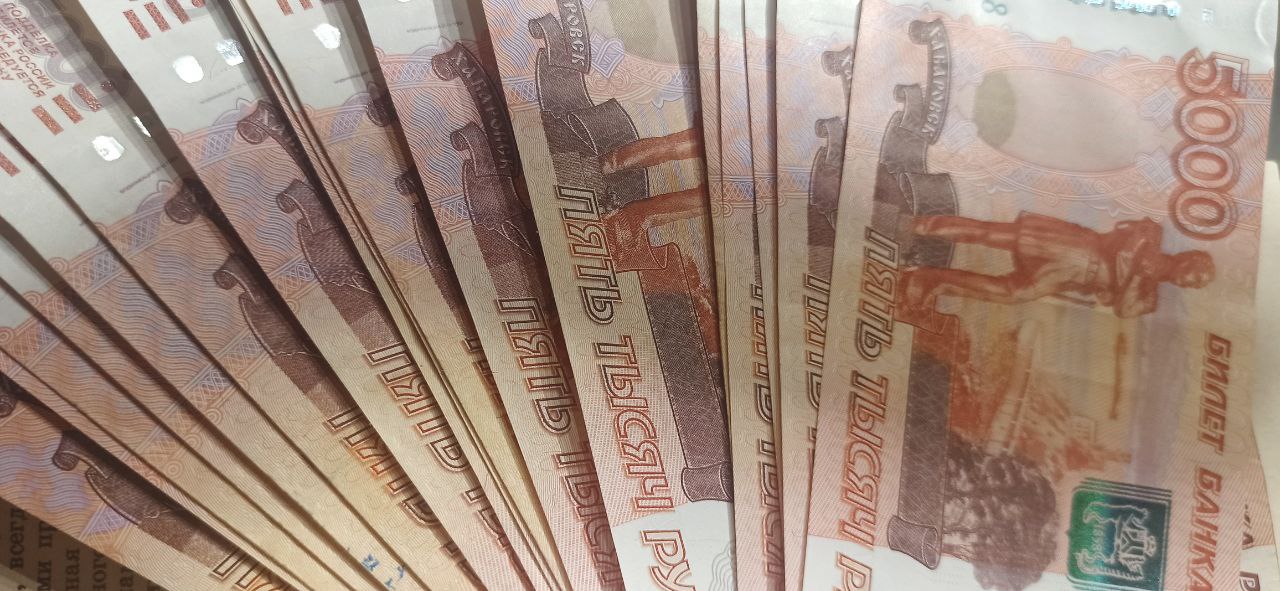 Компания по освобождению от долгов взыскала с жительницы Костромы крупную сумму