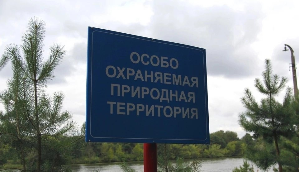 В Костромской области появился новый Ветлуго-Вохомский заказник