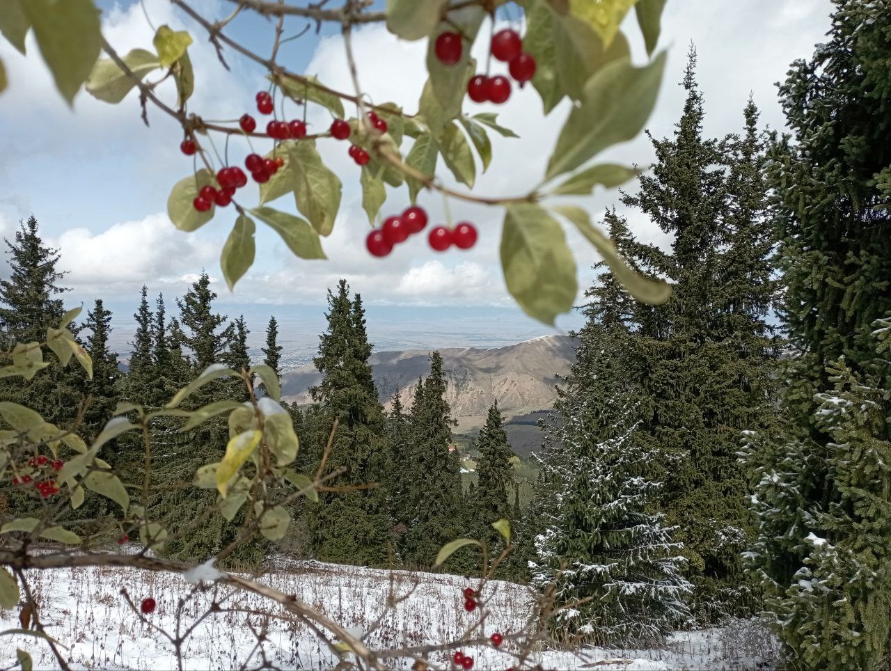 Киргизия покоряется туристам из Костромы