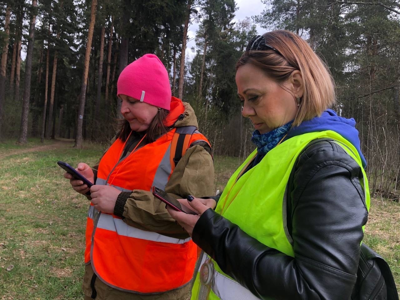 Учителя и бухгалтера отправились в костромской лес спасать грибника