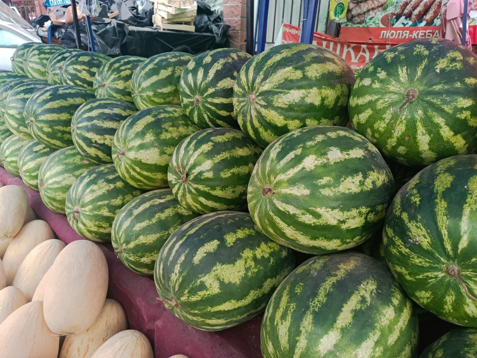 Киргизия покоряется туристам из Костромы