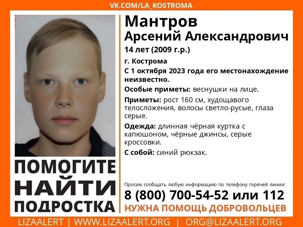 В Костроме 1 октября бесследно исчез мальчик с веснушками