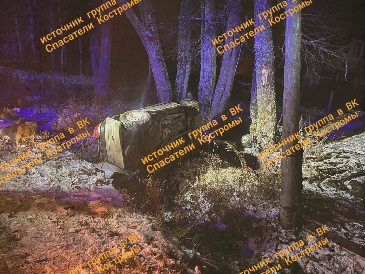 Автоледи на перевернутой машине влетела в дерево под Костромой