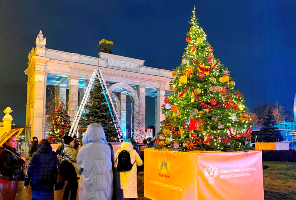 Костромская ель на выставке «Россия» сияет золотом и пестреет игрушками с традиционной росписью