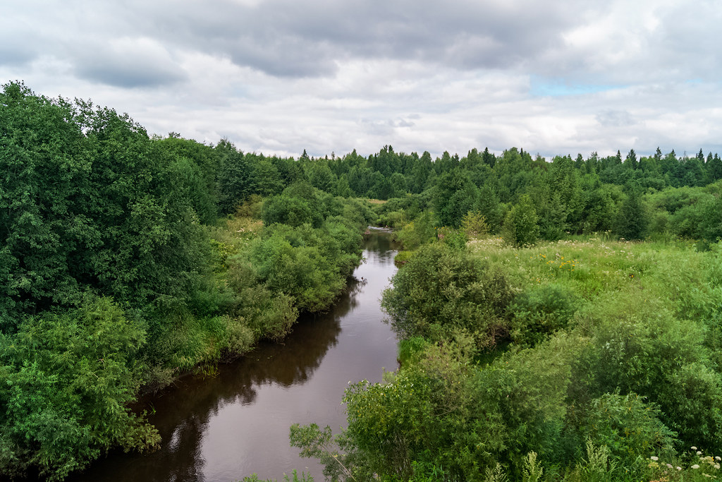 Лесное болото и заказник в Костромской области будут особо охранять