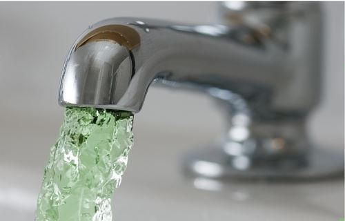 Костромичам запретили мыться зеленой водой