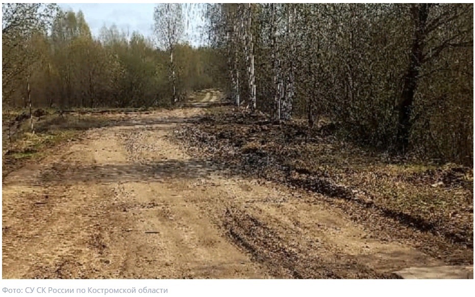 В Костромской области чиновница разбазарила целую дорогу