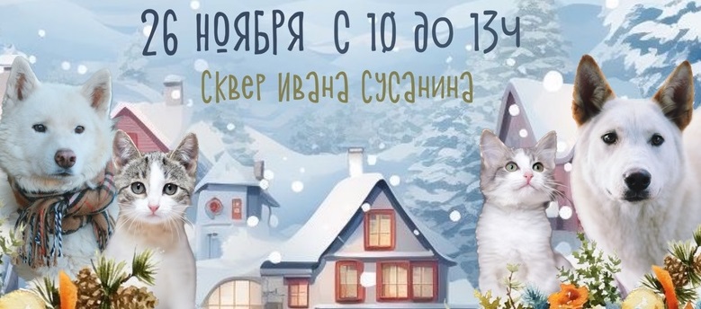 Костромской «Белый Бим» просит помощи для сытой зимы