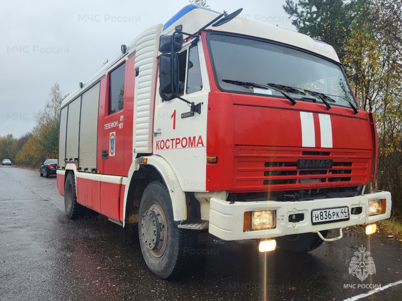 В Костроме пожарные спасли пять поросят из горящей бани