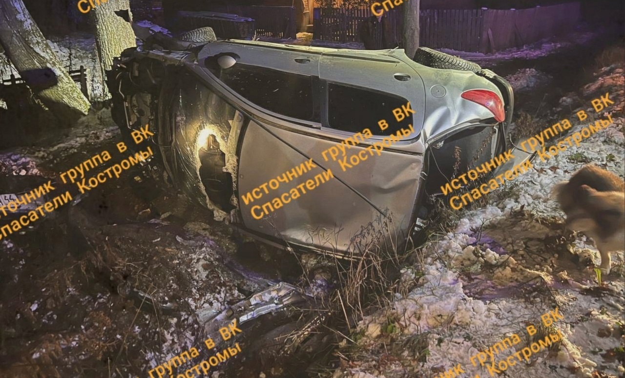 Автоледи на перевернутой машине влетела в дерево под Костромой