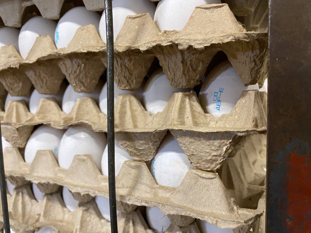 К концу года Костромская область произведет  миллиард яиц