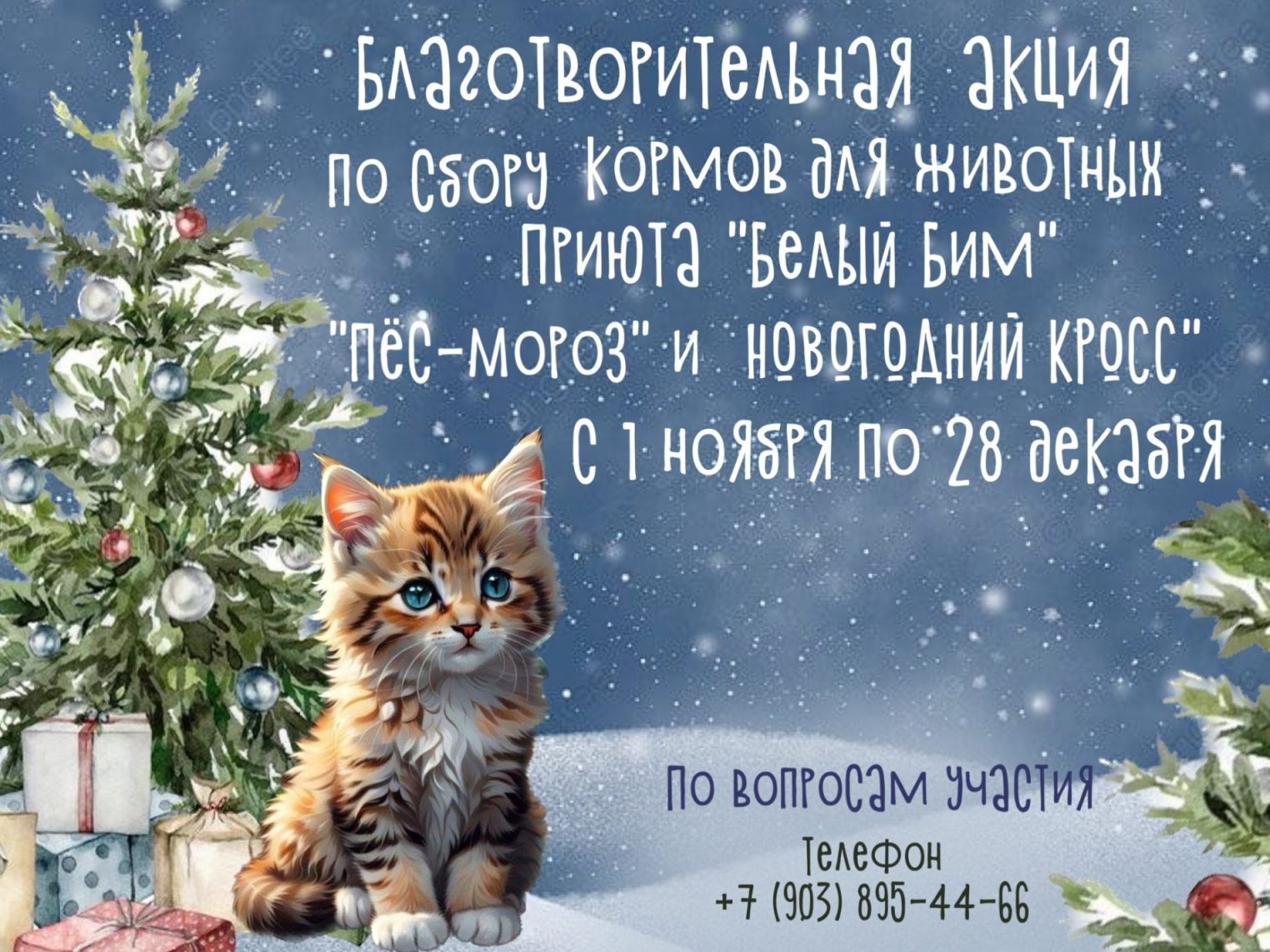 Добрая акция «Пес Мороз и новогодний кросс» стартовала в Костроме