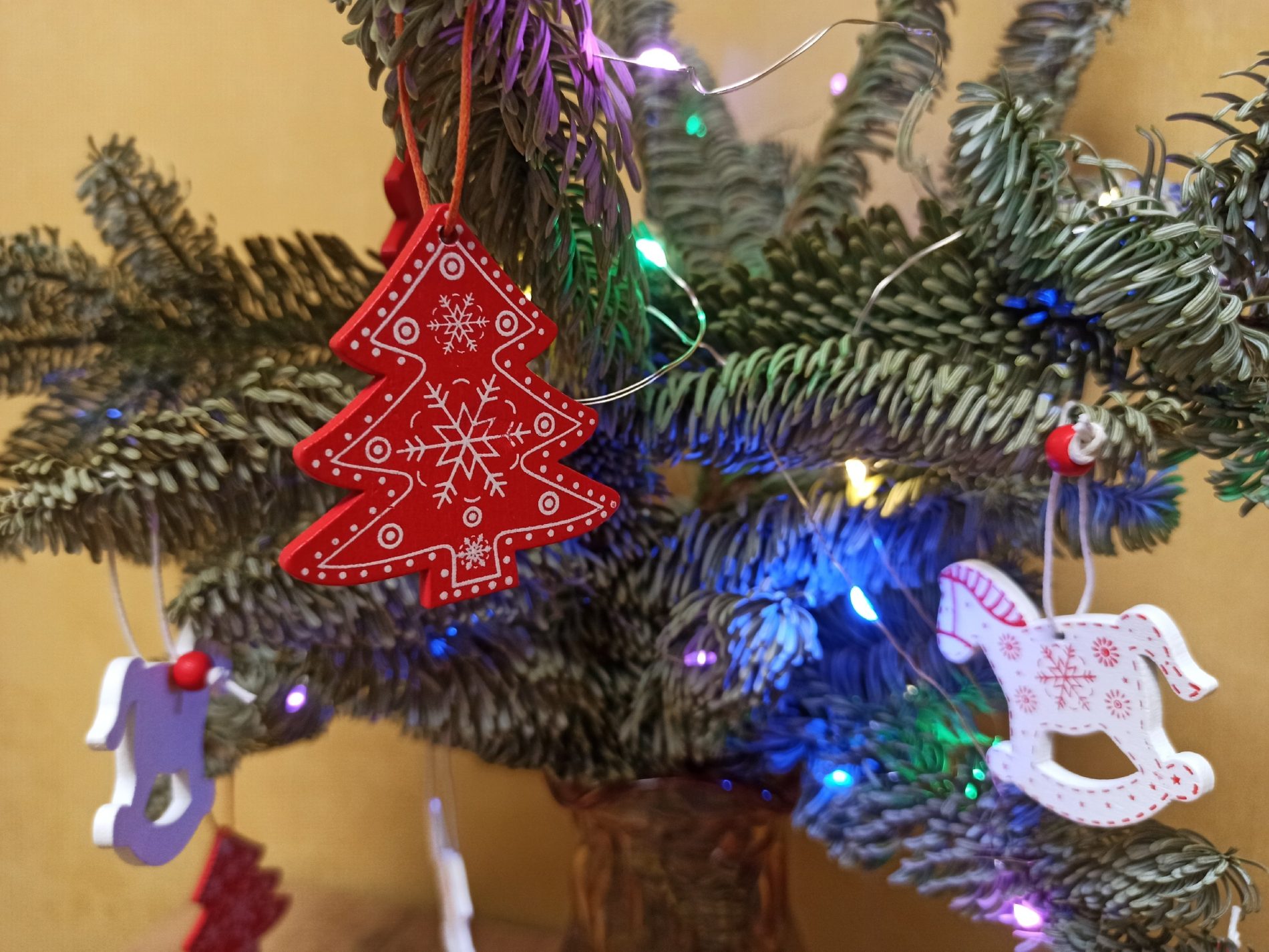 Нашли для костромичей идеальную альтернативу живой новогодней елке